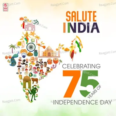 Salute India Celebrating 75 Years Of Independence Day - Amit Trivedi cover album