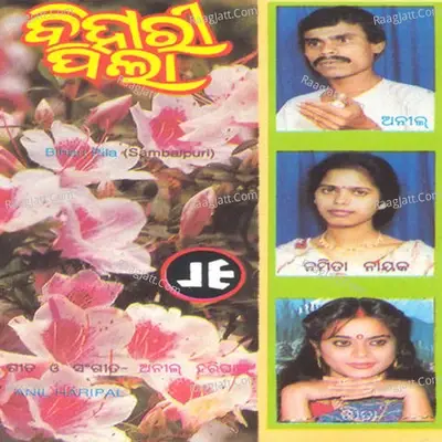 Bihari Pilaa -  cover album