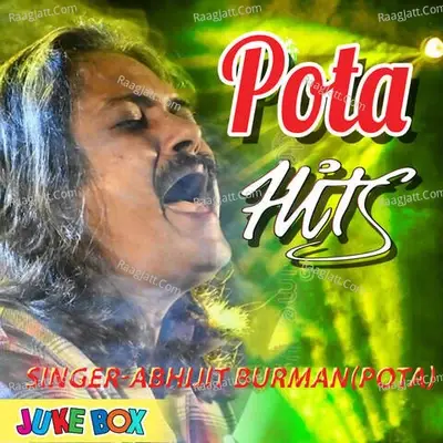 Pota Hits Jukebox - Pota cover album