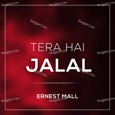 Tera Hai Jalal -  cover album