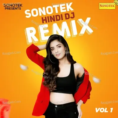 Sonotek Hindi DJ Remix Vol 1 -  cover album