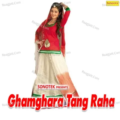 Ghamghara Tang Raha - Max Studio cover album