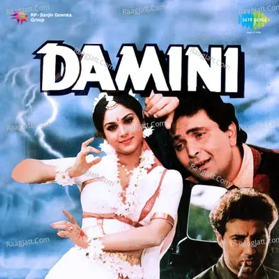 Damini - Nadeem-Shravan cover album