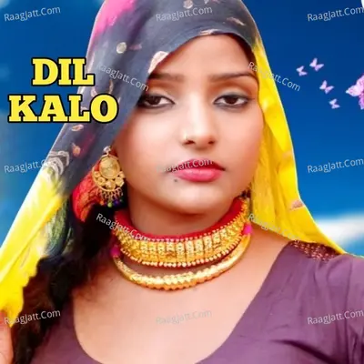 Dil Kalo - Aslam Mewati cover album