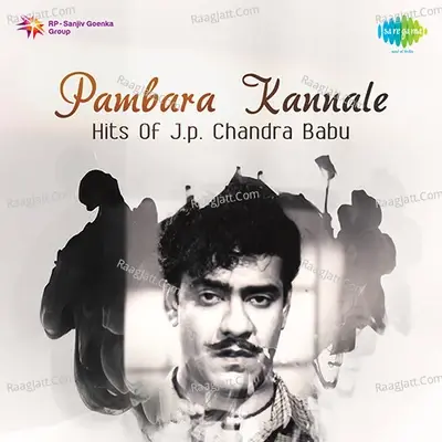 Pambara Kannale Hits Of J. P. Chandra Babu - Viswanathan cover album