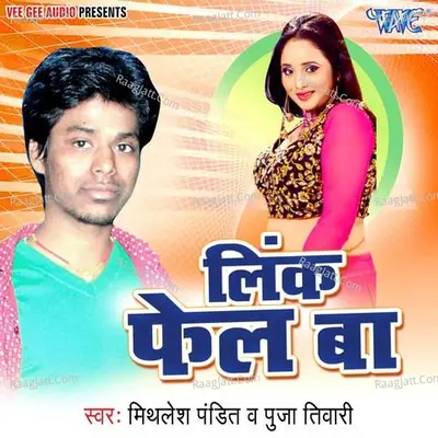 Link Fail Ba - Mithilesh Pandit cover album