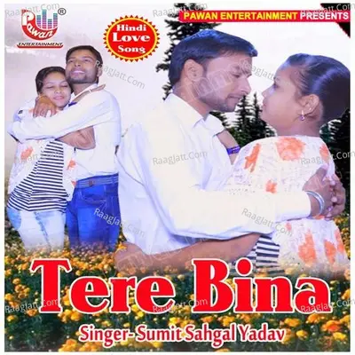 Tere Bina - Sumit Sahgal Yadav cover album