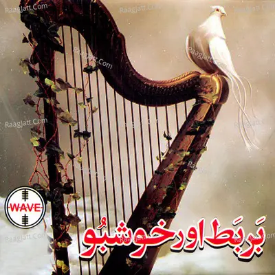 Barbat Aur Khushboo - A. Nayyar cover album