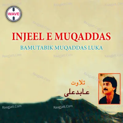 Injeel E Muqaddas Bamutabik Muqaddas Luka - Abid Ali cover album