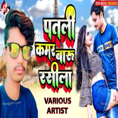 Patli Kamar Baru Rasila - Shyam Parida cover album