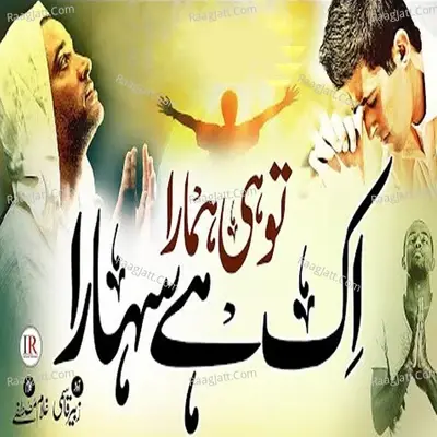 Tu Hi Hamara Ik Hai Sahara - Molana Hafiz Saeed Ameer Ansari cover album