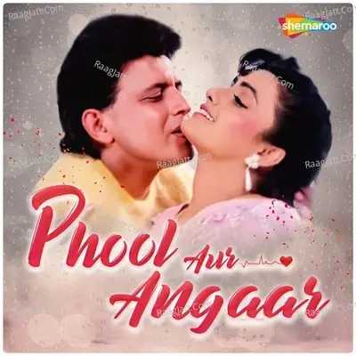 Phool Aur Angaar - Anu Malik cover album