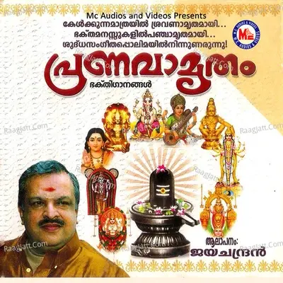 Pranavamritham - Raju Raj Peppathi cover album