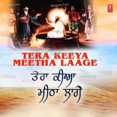 Tera Keeya Meetha Laage - Bhai Satwinder Singh cover album