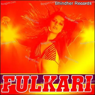 Fulkari - Jasbir Kaur cover album