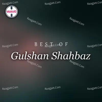 Best Of Gulshan Shahbaz - Gulshan Shahbaz cover album