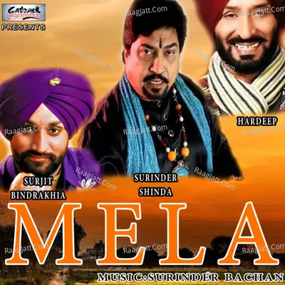 Mela - Dilshad Akhtar cover album