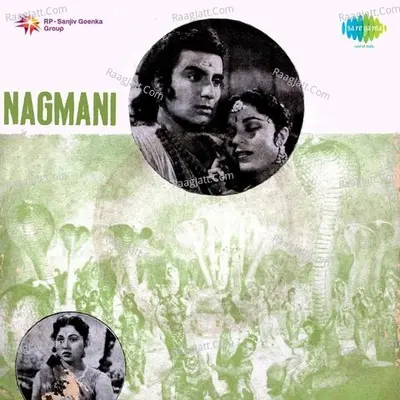 Nagmani - Avinash Vyas cover album