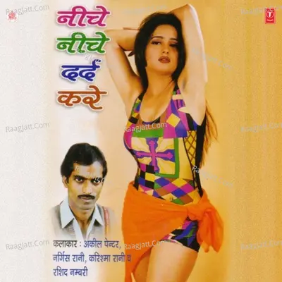 Neeche Neeche Dard Kare - Rashid Numbari cover album