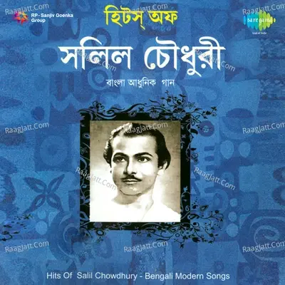 Hits Of Salil Chowdhury - Salil Chowdhury cover album