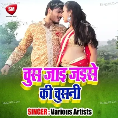 Chush Jai Jaise Ki Chusani - Chandan Chahat Gupta cover album