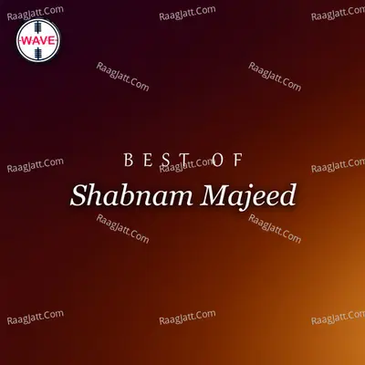 Best Of Shabnam Majeed - Shabnam Majeed cover album