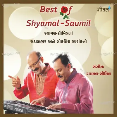 Best of Shyamal Saumil - Shyamal Saumil cover album