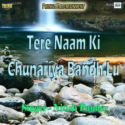 Tere Naam Ki  Chunariya Bandh Lu - Niranjan Putul cover album