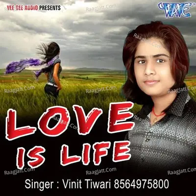 Love Is Life - Vinit Tiwari cover album