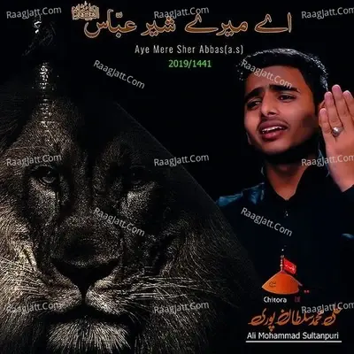 Aye Mere Sher Abbas (A.S) - Ali Mohammad Sultanpuri cover album