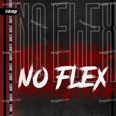 No Flex - Ani Made It Lit cover album