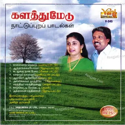 Kallathumeatu - Pushpavanam K Kuppusamy cover album