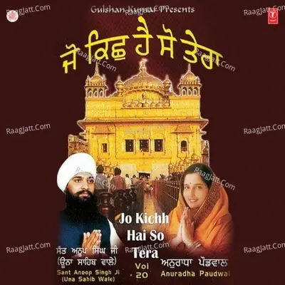 Jo Kichh Hai So Tera - K.S. Narula cover album