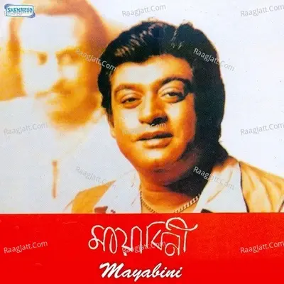 Mayabini - Amit Kumar cover album