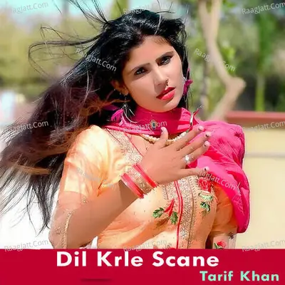 Dil Krle Scane - Tarif Khan cover album