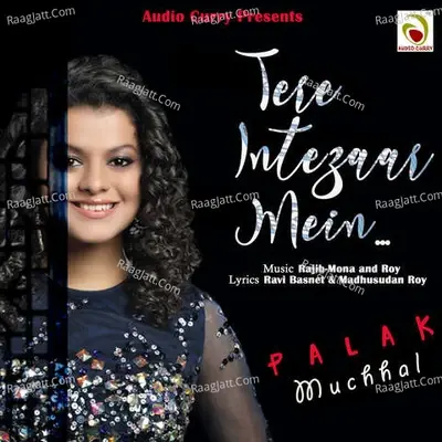 Tere Intezaar Mein - Palak Muchhal cover album