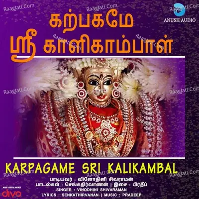 Karpagame Sri Kalikambal - Vinodhini Shivaraman cover album