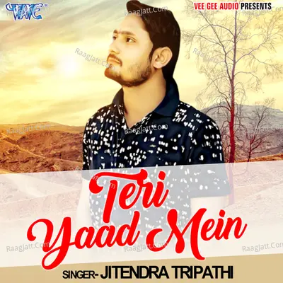 Teri Yaad Mein - Jitendra Tripathi cover album