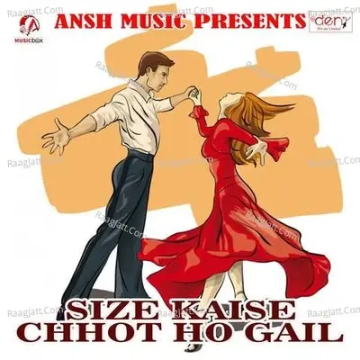 Size Kaise Chhot Ho Gail -  cover album