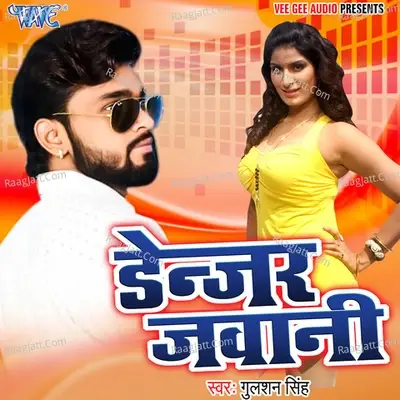 Denzar Jawani - Gulshan Singh cover album