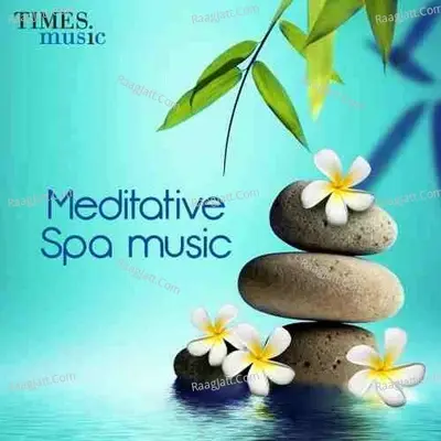 Meditative Spa Music - Ronu Majumdar cover album