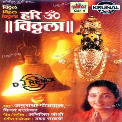 Hari Om Vitthala (Dj Remix) - Vijay Gatlewar cover album