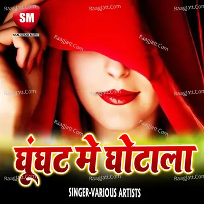 Ghunghat Me Ghotala - Mukesh Raja cover album