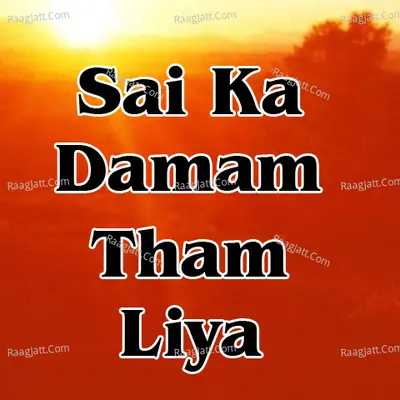 Sai Ka Damam Tham Liya - Rakesh Dubey cover album