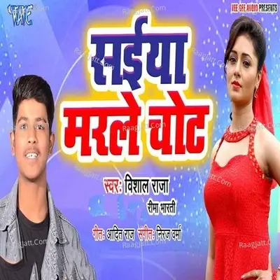 Saiya Marle Chot - Vishal Raja cover album