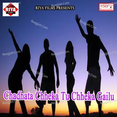 Chadhata Chheka Tu Chheka Gailu - Tej Narayan cover album