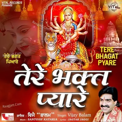 Tere Bhagat Pyare - Vijay Balam cover album