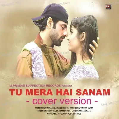 Tu Mera Hai Sanam Cover Version - Jaspreet Singh cover album