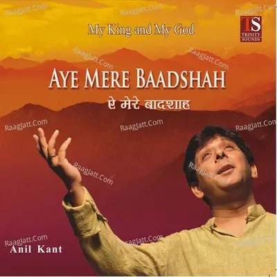 Aye Mere Baadshah - Shreya Kant cover album