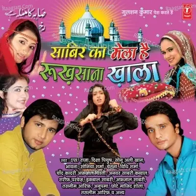 Saabir Ka Mela Hai Rukhsana Khala - Himesh Reshammiya cover album